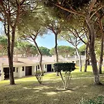 Falesia House Σπίτι διακοπών Αλμπουφέιρα